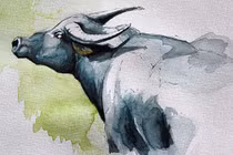 Tử vi tuần mới (5 - 11/8): 3 con giáp may mắn, phú quý ngập tràn