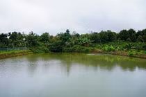 Hiểm họa từ giếng, ao, hồ trữ nước chống hạn