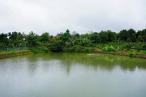 Hiểm họa từ giếng, ao, hồ trữ nước chống hạn