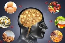 Dược thiện giúp sĩ tử tăng cường trí nhớ, tránh stress mùa thi