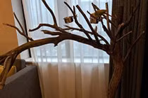 Đồ vật không nên trưng bày ở phòng khách