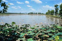 Những giả thuyết về tên gọi Đồng Tháp Mười