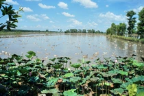 Những giả thuyết về tên gọi Đồng Tháp Mười