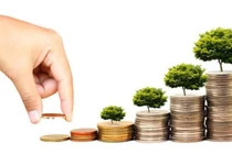 Nhiều doanh nghiệp vẫn mạnh tay chi cổ tức khủng dù nguồn tín dụng bị siết