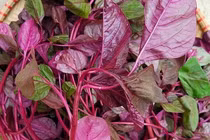 4 loại rau không chần trước khi nấu dễ gây ngộ độc