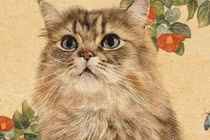 Điểm danh 3 con giáp may mắn nhất ngày 31/10, lộc dâng tận cửa