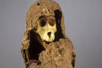 Xác ướp quái dị tiết lộ vương quốc huyền bí ẩn mình giữa Ai Cập