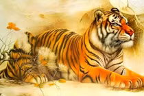 Tử vi cuối tuần (23-24/11), 3 con giáp tài lộc nhân đôi, giàu càng thêm giàu 