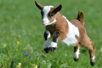 Cuối tháng 10 âm bất ngờ thịnh vượng, 3 con giáp hứng tiền mỏi tay