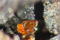 Phát hiện viên đá quý 'vô song' ở Nam Cực, chuyên gia giật mình vì...