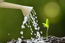 Vòng tuần hoàn nước trên Trái đất bị mất cân bằng