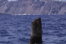 Kỳ lạ khúc gỗ nổi thẳng đứng trên hồ, cả trăm năm không mục