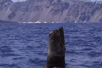 Kỳ lạ khúc gỗ nổi thẳng đứng trên hồ, cả trăm năm không mục