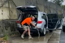 Thấy thứ động đậy trườn dưới chân khi lái xe, thất kinh phát hiện sự thật