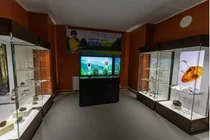 Nhặt được cục đá lạ bên suối, giật mình khi biết là báu vật quốc gia