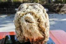 Đào trúng tảng đá lạ gần 10.000 tỷ, người đàn ông đổi đời trong nháy mắt 