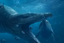 5 loài quái vật khủng khiếp nhất náu mình dưới đại dương