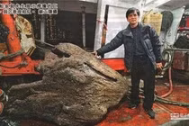 Nhặt được khúc gỗ lạ, giật mình nhận ra 'báu vật' cả đời không dám nghĩ 