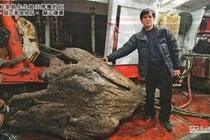 Nhặt được khúc gỗ lạ, giật mình nhận ra 'báu vật' cả đời không dám nghĩ 