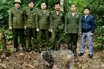 Hai cá thể khỉ quý hiếm được thả về rừng Tây Yên Tử