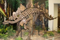 Lộ dấu vết 'quái vật' 150 triệu năm trước, chuyên gia sửng sốt vì...