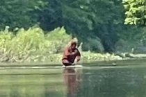 Hình ảnh nóng hổi vừa công bố chứng minh Bigfoot hoàn toàn có thật?