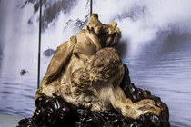 Vớt được khúc gỗ quý, lão nông tiếc hùi hụi vì trót làm điều này