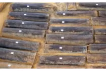 Bật nắp quan tài, chuyên gia ngã quỵ thấy thứ phát sáng bên trong