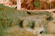 Cuốc trúng 'con rồng' dài 400m, chuyên gia hốt hoảng hô lớn 'phong tỏa ngay'