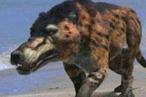 Tuyệt chủng 500.000 năm, sinh vật kỳ thú này bỗng hồi sinh lạ lùng 