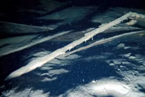 Sau 700 năm bị chôn vùi, con tàu bí ẩn xuất hiện