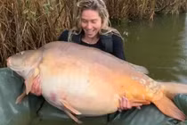 Cá chép hơn 40 kg và loạt quái ngư khủng bất ngờ sa lưới cần thủ 
