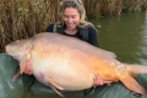 Cá chép hơn 40 kg và loạt quái ngư khủng bất ngờ sa lưới cần thủ 