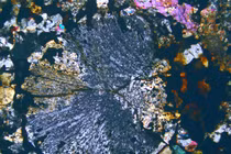 Vô tình nhặt được khối đá lạ, ai ngờ là báu vật Trời ban