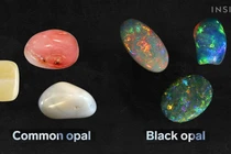 Đào đất tìm thấy vật thể lấp lánh, thợ mỏ reo lên sung sướng vì...