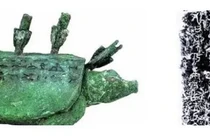 Ông lão câu cá vớt được rùa lạ, chuyên gia phán: "Đáng giá ngàn tỷ"