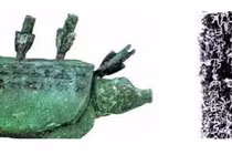 Ông lão câu cá vớt được rùa lạ, chuyên gia phán: "Đáng giá ngàn tỷ"