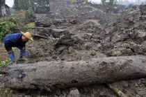 Lão nông đào khúc gỗ khổng lồ, cảnh sát lập tức phong tỏa hiện trường