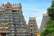 Dọn bãi đất hoang, vô tình phát hiện “kho báu” khủng bị chôn sâu dưới đất