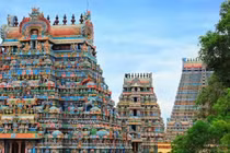 Dọn bãi đất hoang, vô tình phát hiện “kho báu” khủng bị chôn sâu dưới đất