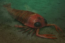 Bọ cạp biển khổng lồ đã tuyệt chủng bất ngờ xuất hiện ở Úc