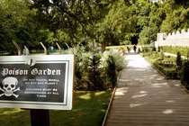 Kỳ lạ khu vườn chỉ cần chạm vào 1 chiếc lá có thể “tử vong"