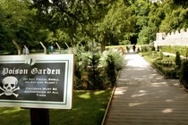 Kỳ lạ khu vườn chỉ cần chạm vào 1 chiếc lá có thể “tử vong"