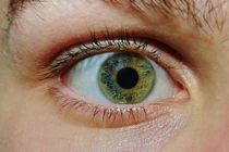 Những điều diệu kì của thế giới có thể bạn không bao giờ ngờ tới