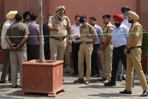 Đào đất xây nhà, bất ngờ đụng trúng kho báu "khủng"