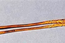 Đào đất tìm được đũa vàng kỳ lạ, không ngờ là “bảo vật” hàng tỷ đồng