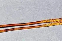 Đào đất tìm được đũa vàng kỳ lạ, không ngờ là “bảo vật” hàng tỷ đồng