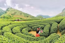 Loạt điểm đến đẹp nhất Việt Nam giành Giải thưởng Du lịch Thế giới 2023