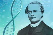 Khai quật hài cốt “cha đẻ” ngành di truyền học Mendel, bất ngờ sự thật