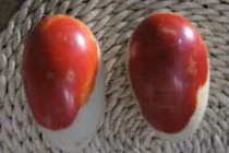 Lên núi đào măng, vô tình vớ được báu vật tiền tỷ